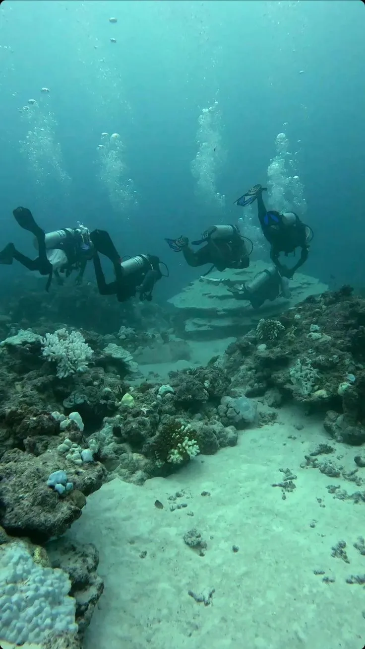 underwater photography