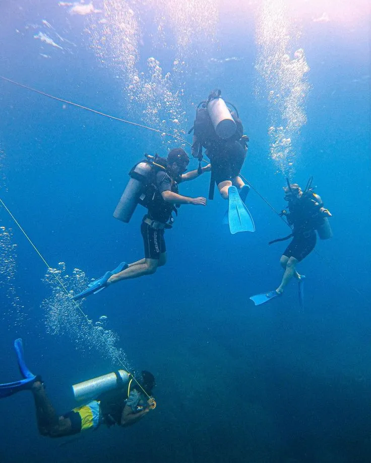 We’ve discovered over 10 different dive sites over…