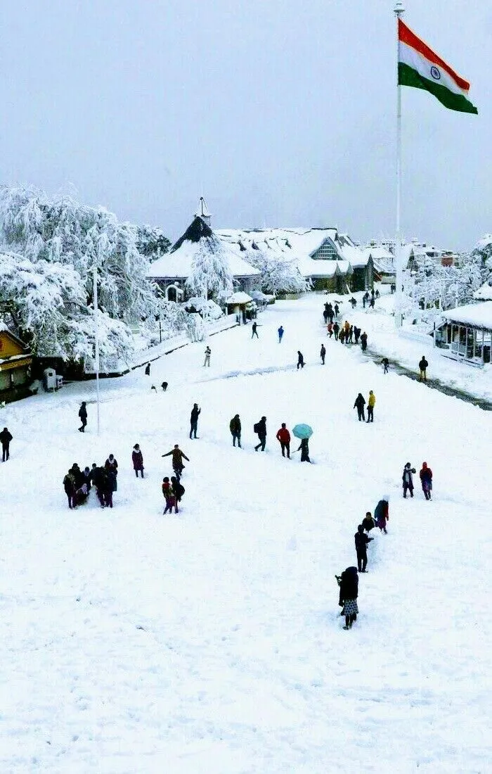 Shimla 1