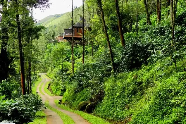 coorg