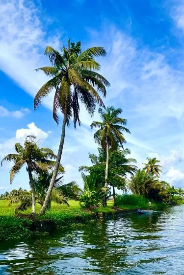 Mesmerizing Kumarakom nestled in the heart of Kerala