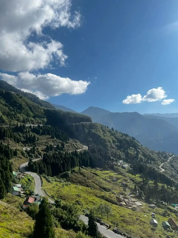 a786ed5a8208f48840af447ac612b298