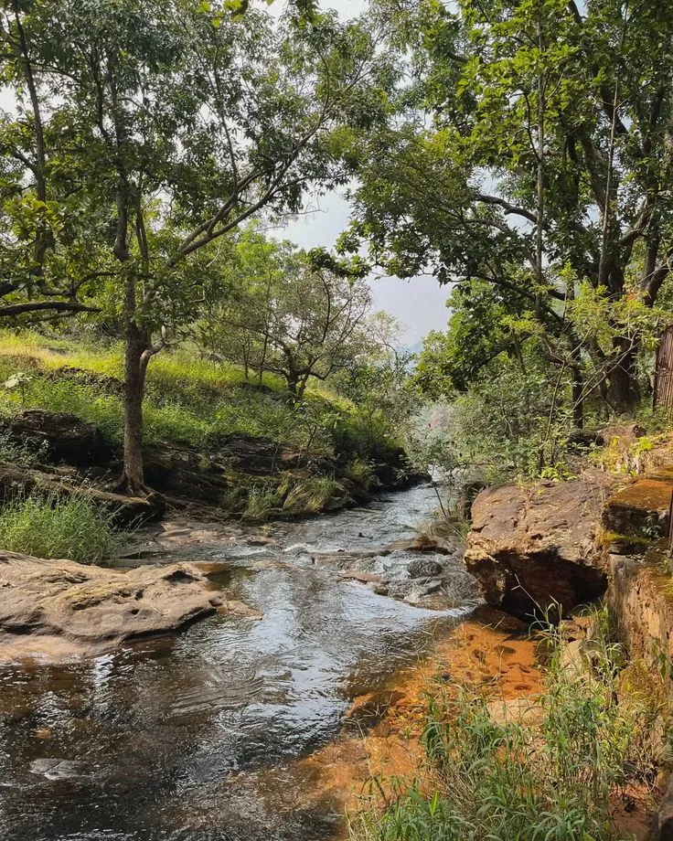 Pachmarhi Madhya Pradesh