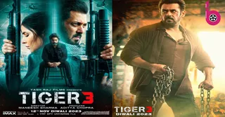 TIGER 3