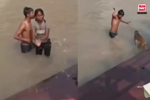 Monkey Attack Couple