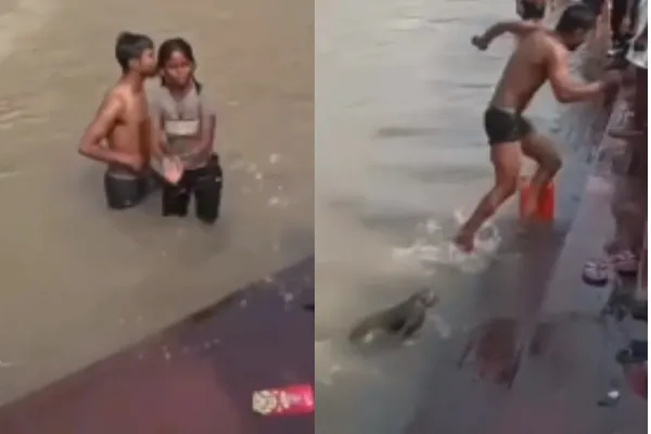 Monkey Attack Couple