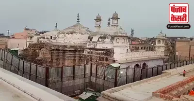 Gyanvapi ASI Survey