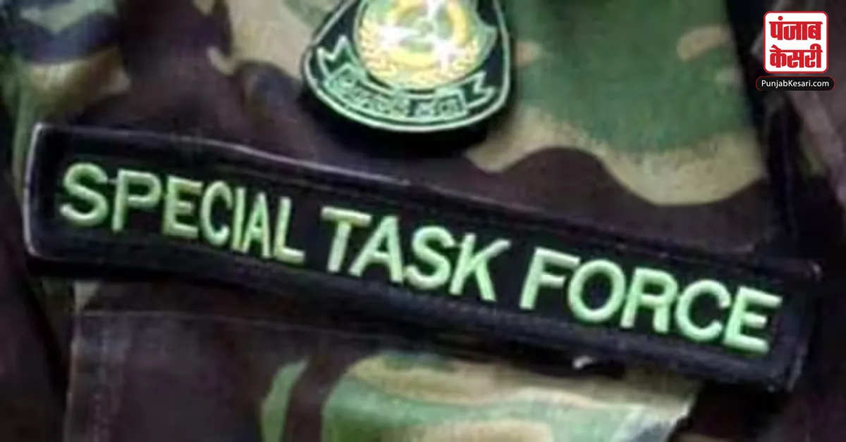 Special Task Force