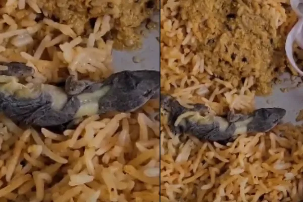 Online Order Lizard In Birayani