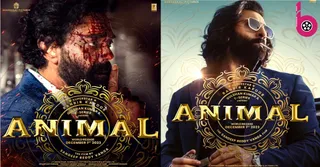 Animal Movie