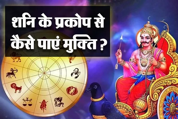 WhatsApp Image 2024 06 20 at 1.55.47 PM 4