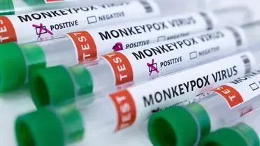 d4fa47c6 414d 4450 b411