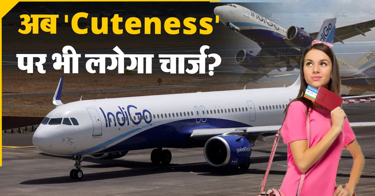 Indigo Cute Fee