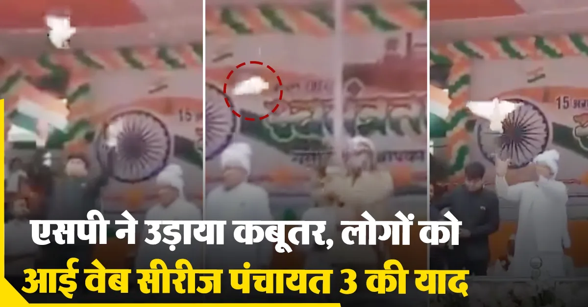 Chhattisgarh Go Kabootar Go Scene