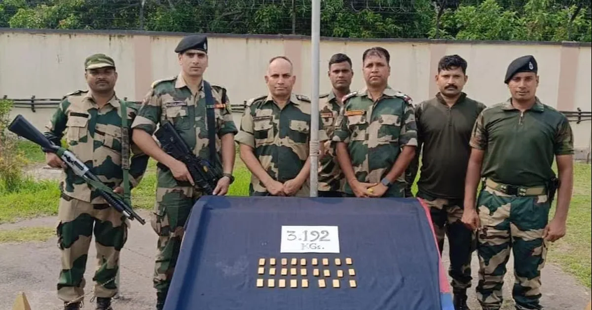 BSF at india bangladesh