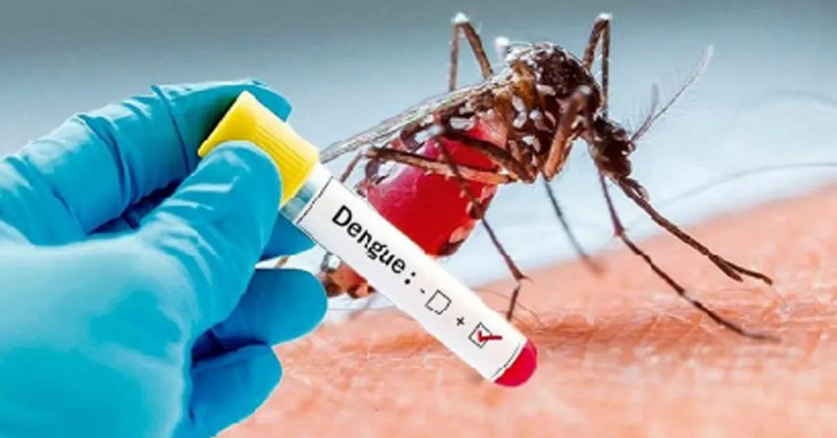 Dengue Cases in Philippines
