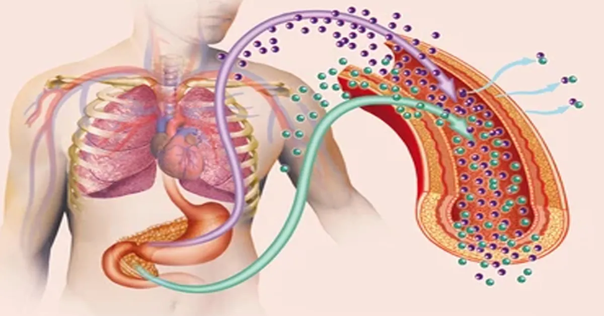 Insulin resistance
