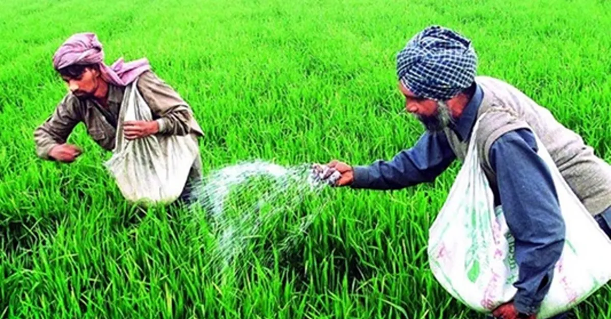 PM Aasha Scheme
