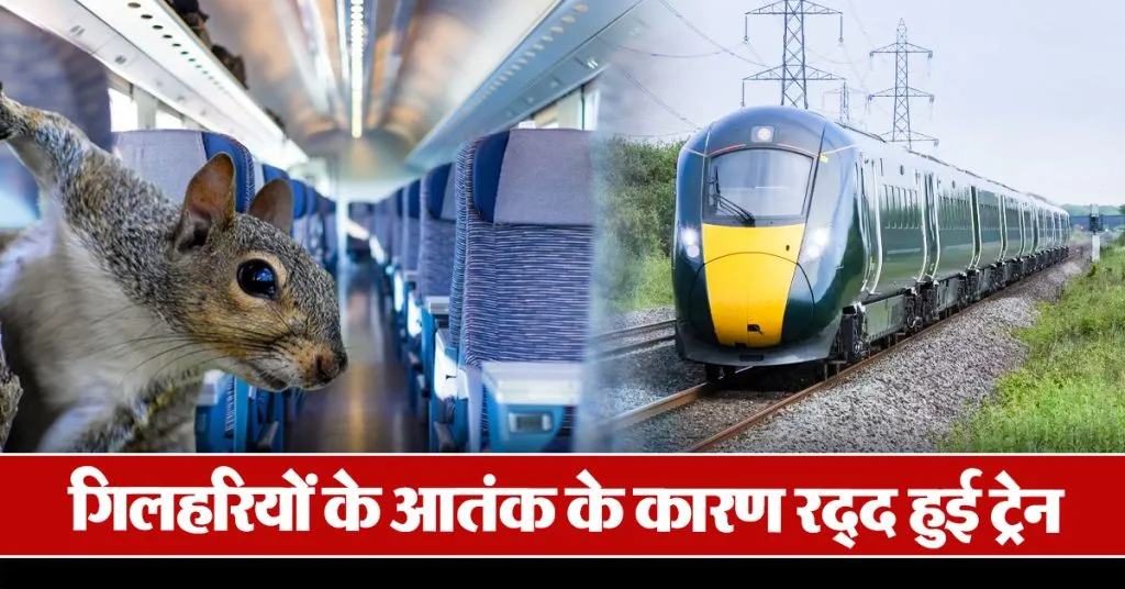 Squirrel UK Train News