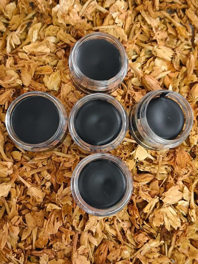 International Translation Day 2024 30 सितंबर को ही क्यों मनाया जाता है