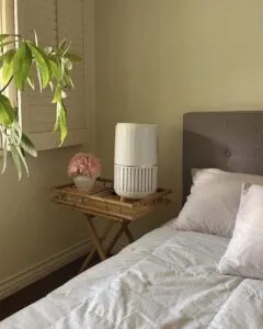Air Purifier : प्रदूषित हवा को क्या सच में साफ करते हैं एयर प्यूरिफायर?