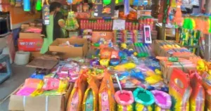 Holi पर Make in India सामानों की बढ़ी बिक्री, चाइनीज सामानों की मांग हुई कम