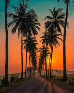 Budget Friendly Travel: April में बजट फ्रेंडली यात्रा के लिए भारत के ये स्थान चुनें