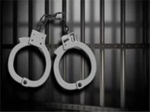 इलेक्ट्रॉनिक्स मंत्रालय से धोखाधड़ी के आरोप में दो गिरफ्तार
