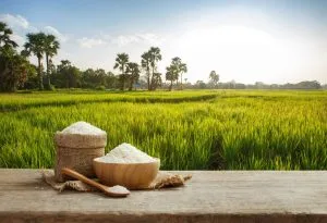 भारत के निर्यात में 8% की वृद्धि, Rice का अहम योगदान