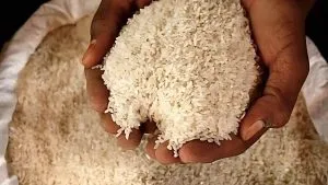 भारत ने Rice की रिकॉर्ड फसल से इथेनॉल उत्पादन बढ़ाया