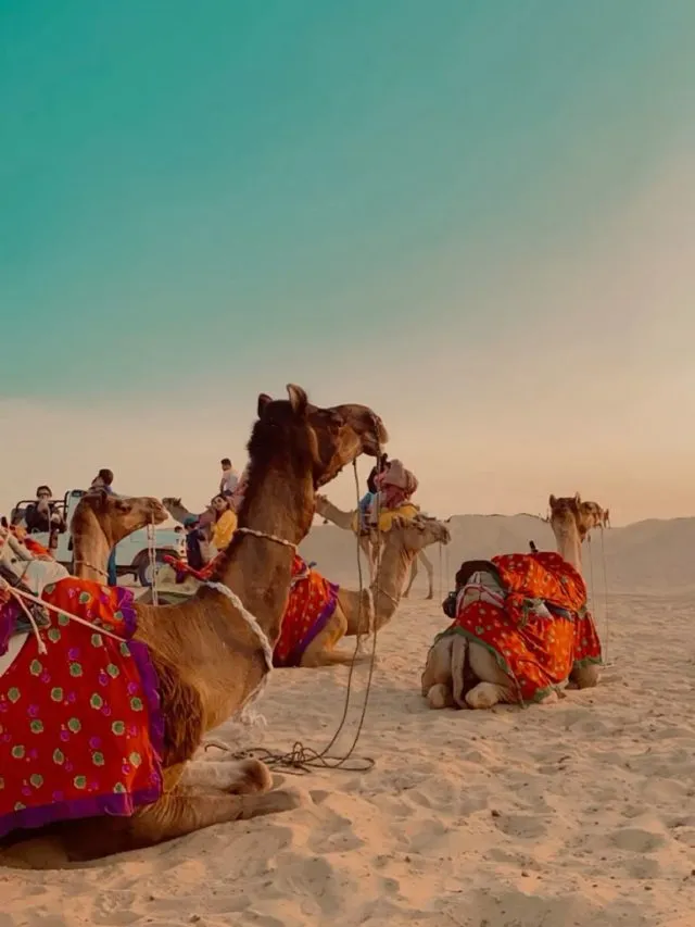 Rajasthan