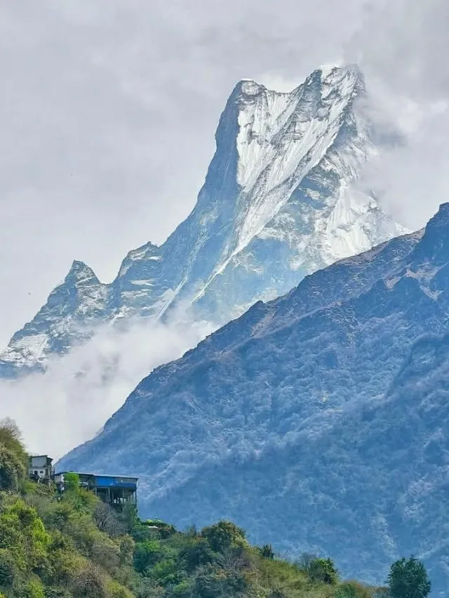 cropped-travel.jpg