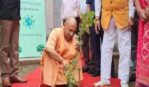 “हमें रोपण के लिए 50 करोड़ पौधे मिले”, ‘एक पेड़ मां के नाम’ पहल पर बोले सीएम योगी