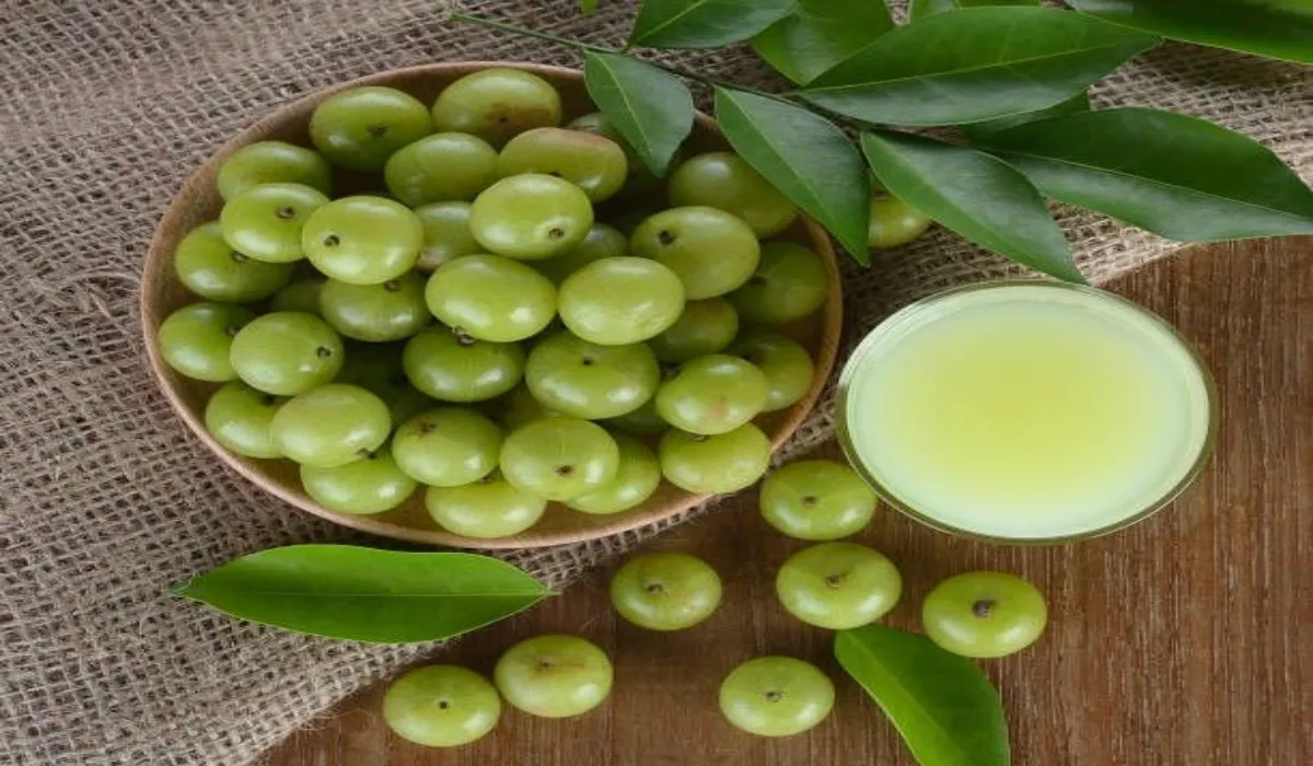 Gooseberry Benefits