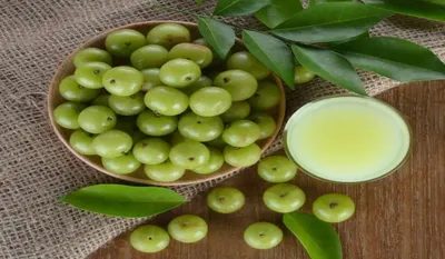 Gooseberry Benefits