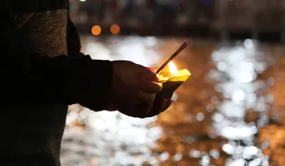 Hariyali Amavasya Daan 2025