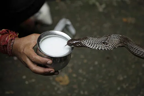 Nag Panchami Par Kya Daan Karein