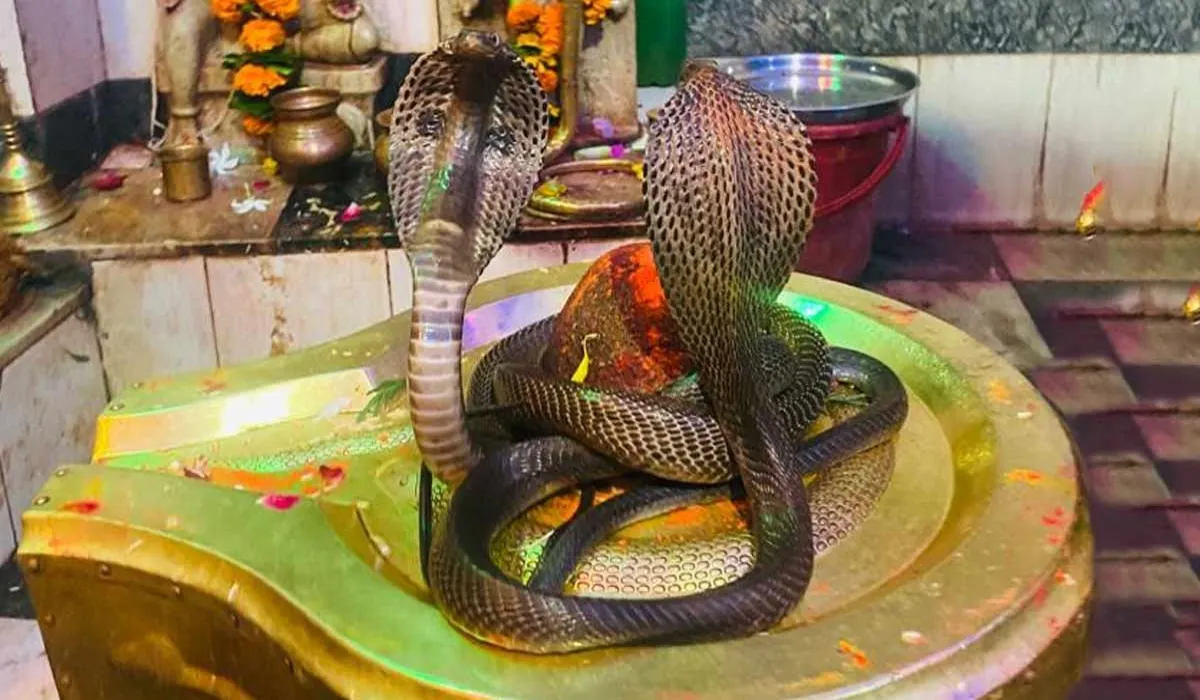 Nag Panchami Vrat Katha 2025
