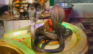 Nag Panchami Wishes