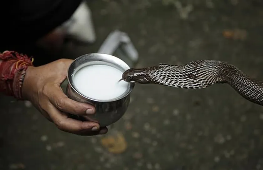 Nag Panchami kyun Manayi Jaati Hai?