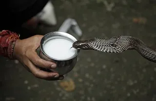 Nag Panchami kyun Manayi Jaati Hai?