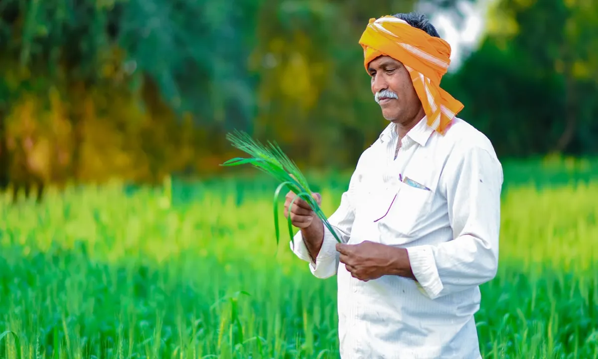 PM Fasal Bima Yojana