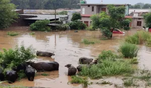 Rajouri Flood
