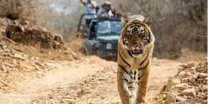 Uttarakhand Agniveer