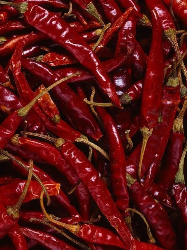 Red Chilli: लाल मिर्च का सेवन करने से होने वाले नुकसान
