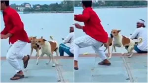 Viral Video: लड़कों की रीलबाजी कुत्तों को नहीं आई पसंद, फिर हुआ कुछ ऐसा…
