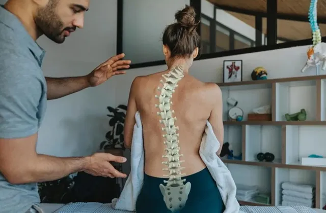spine
