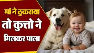 Viral News: बच्चे को मां ने ठुकराया तो 6 कुत्तो ने मिलकर पाला, अब सिर्फ भौंक कर करता है बात