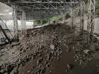 Vaishno Devi Landslide