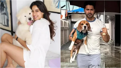 Celebs on Stray Dogs